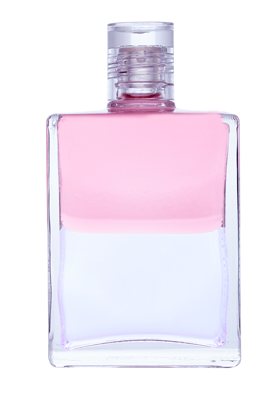 Aura-Soma® Equilibrium B71 "Essener Flasche II / Der Juwel im Lotus"