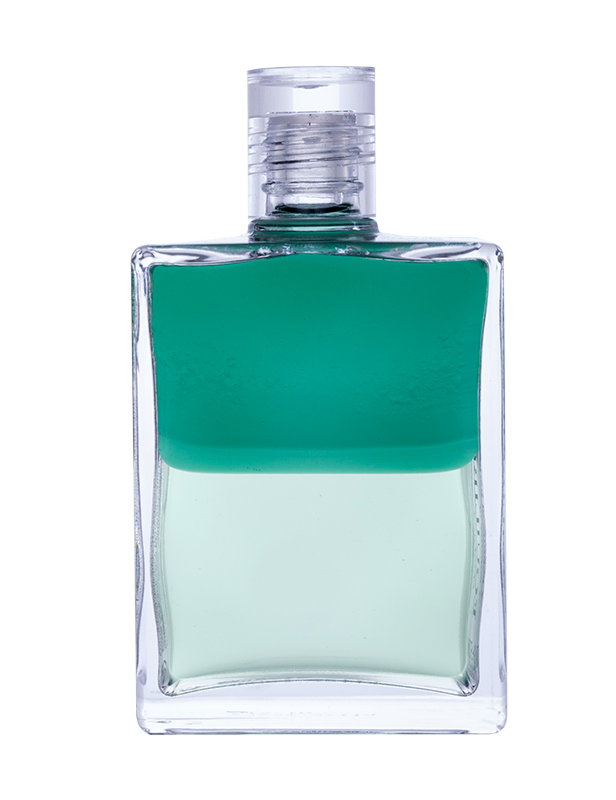 Aura-Soma® Equilibrium B63 "Djwal Khul und Hilarion"