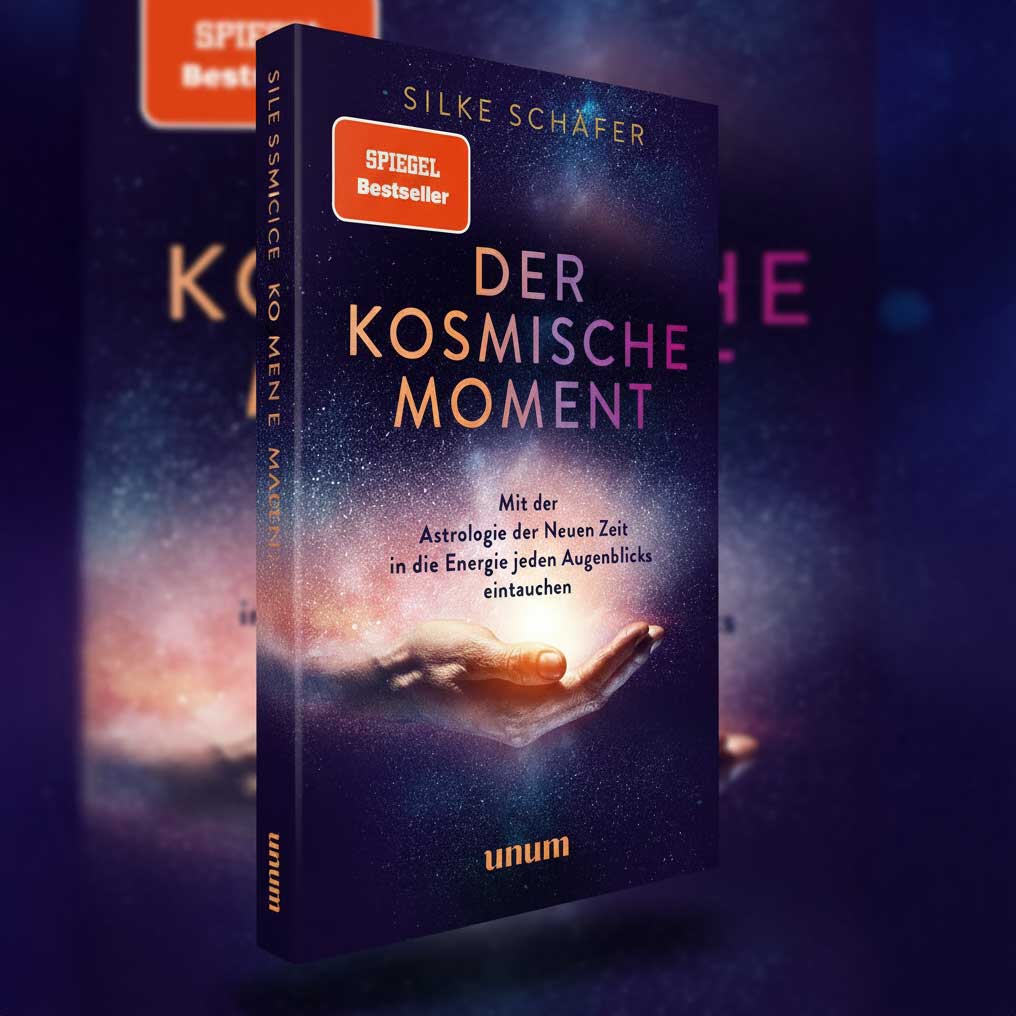 Der kosmische Moment - Silke Schäfer