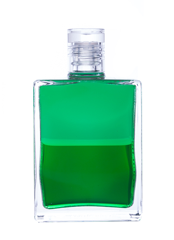 Aura-Soma® Equilibrium B10 Geh, und umarme einen Baum