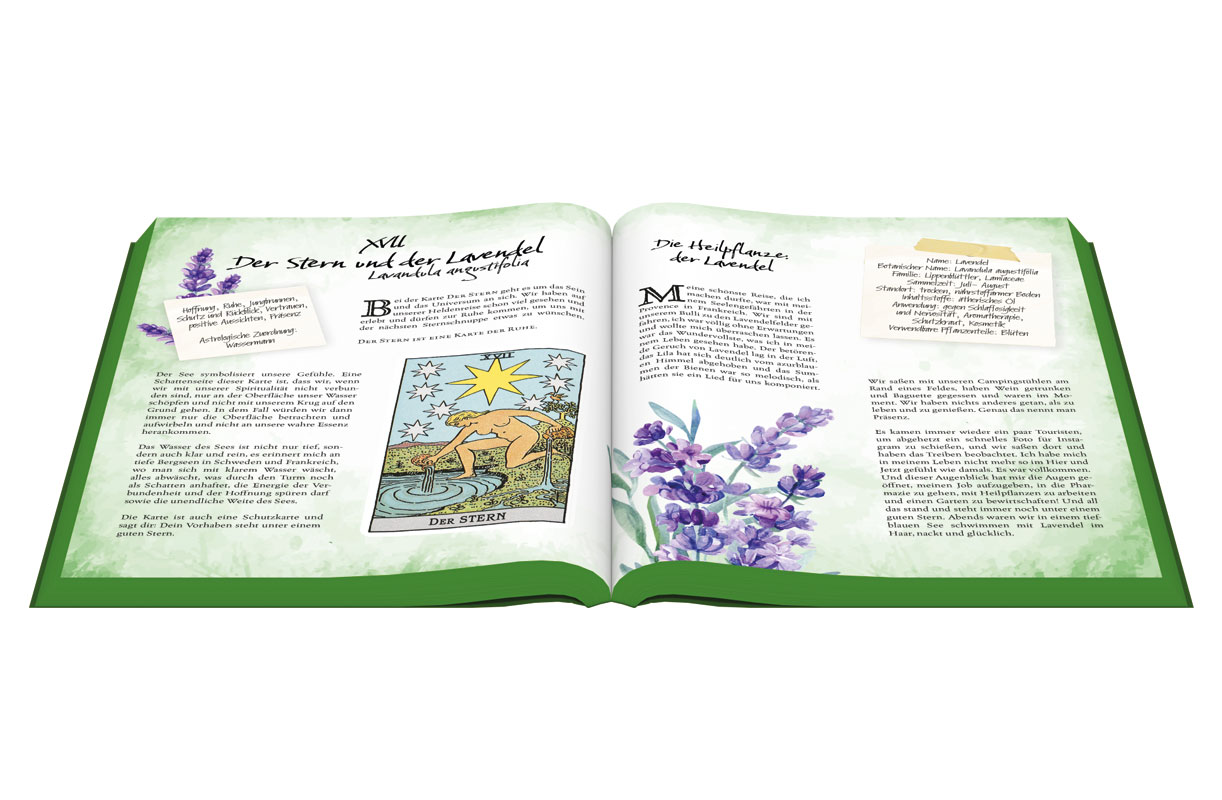 Tarot & Grüne Magie innenseite