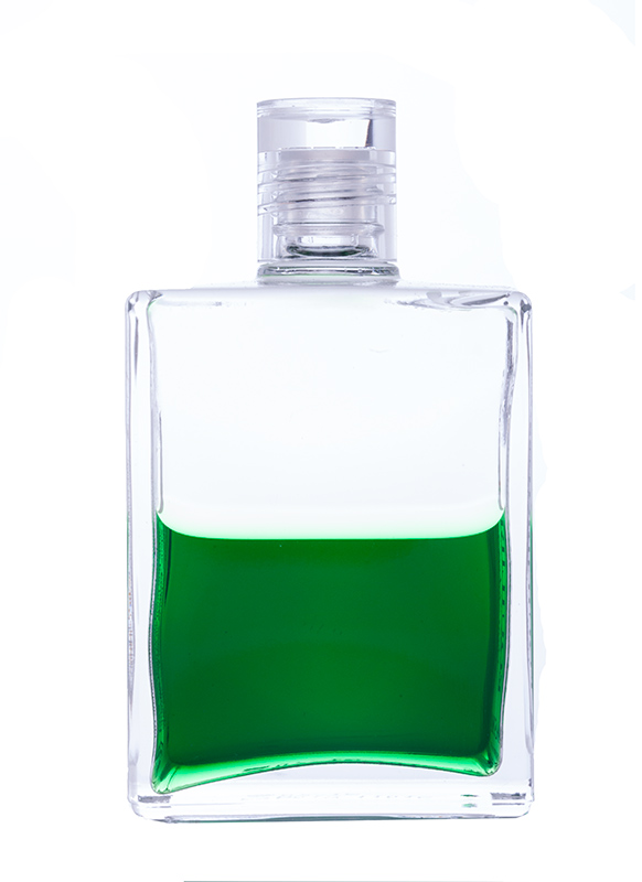 Aura-Soma® Equilibrium B13 Veränderung in der neuen Zeit