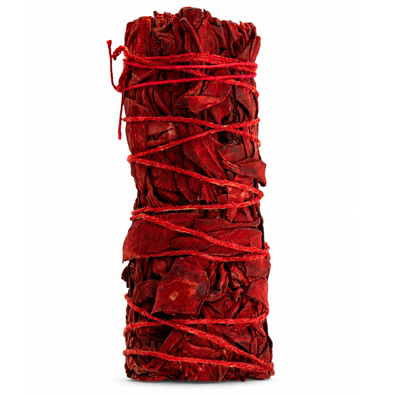 Weißer Salbei mit Drachenblut 10 cm