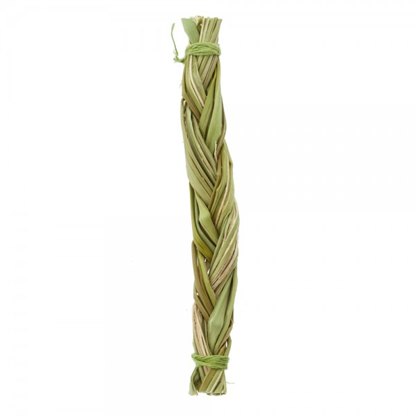Sweetgrass 10 cm