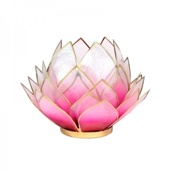 Lotus Licht Rosa/Hellrosa/Gold, groß
