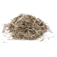 Mariengras / Vanillegras Mariengras / Vanillegras