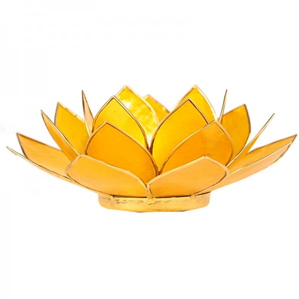 Lotus Licht Gelb 3 Chakra Goldrand