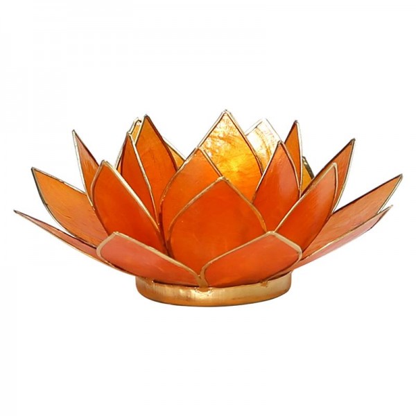 Lotus Licht Orange Chakra 2 Goldrand